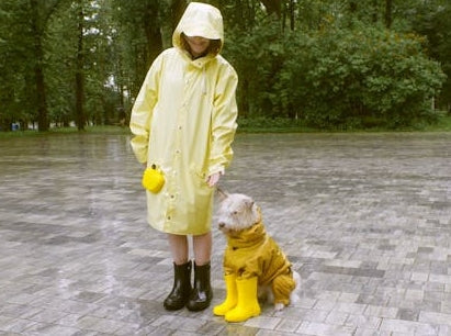 Pet Raincoat