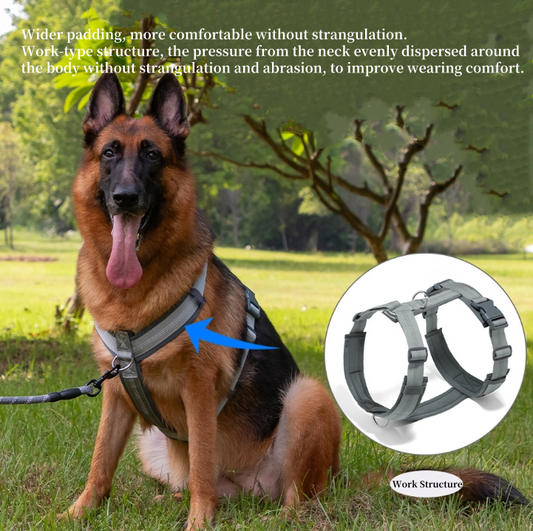 Adjustable Dog Harness with Leash | No-Pull Vest for Small, Medium, and Large Dogs, Ideal for Huskies and Active Pets