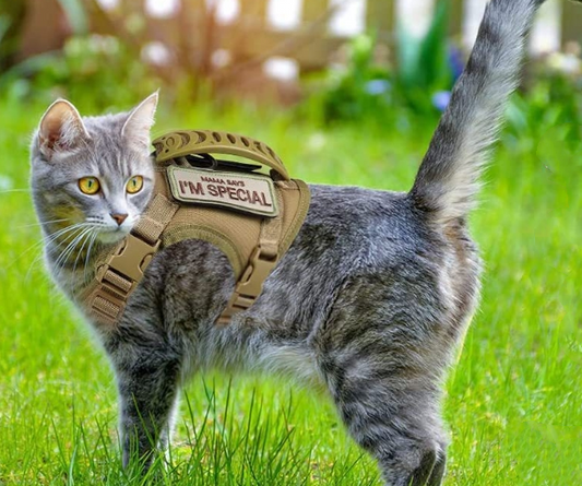 Adjustable Vest-Style Cat Harness with Leash – Anti-Escape for Outdoor Use