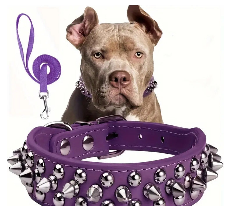 Riveted Punk Dog Collar - Spiked Leather Dog Pet Collar - Durable and Stylish Pet Neck Accessory!