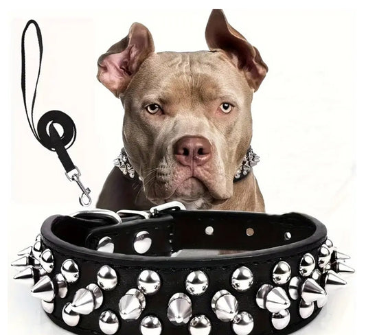 Riveted Punk Dog Collar - Spiked Leather Dog Pet Collar - Durable and Stylish Pet Neck Accessory!