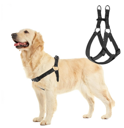 Dog leash dog rope dog chain suitable for small, medium and large dogs, anti-breakaway vest style printed chest strap