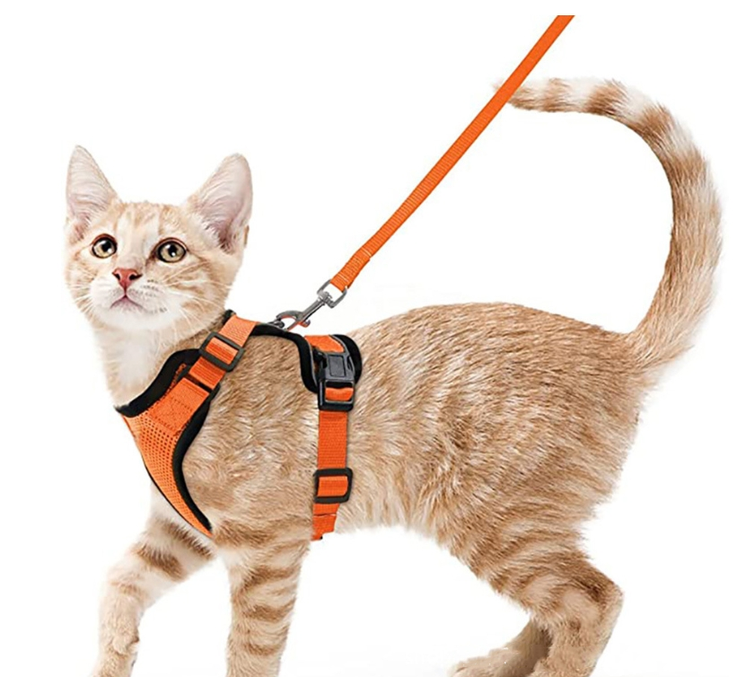 Breathable Reflective Cat Harness with Anti-Escape Leash - Pet Harness for Cats and Small Dogs