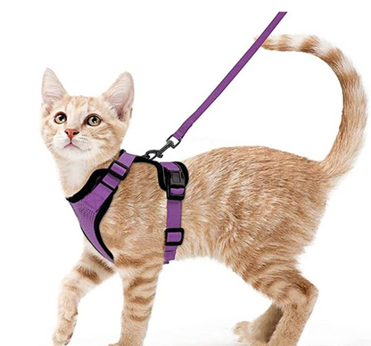 Breathable Reflective Cat Harness with Anti-Escape Leash - Pet Harness for Cats and Small Dogs