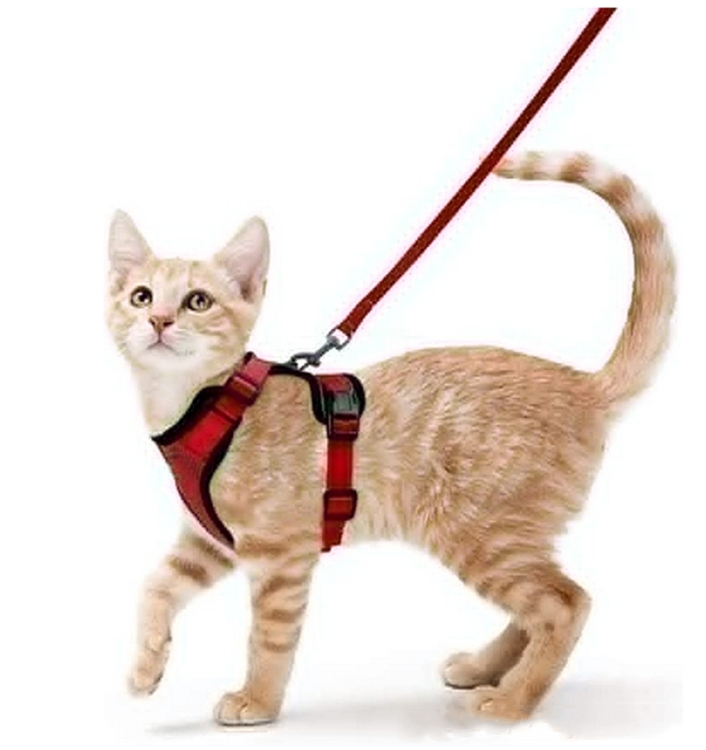 Breathable Reflective Cat Harness with Anti-Escape Leash - Pet Harness for Cats and Small Dogs