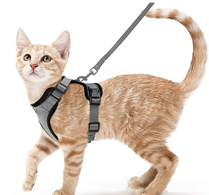 Breathable Reflective Cat Harness with Anti-Escape Leash - Pet Harness for Cats and Small Dogs