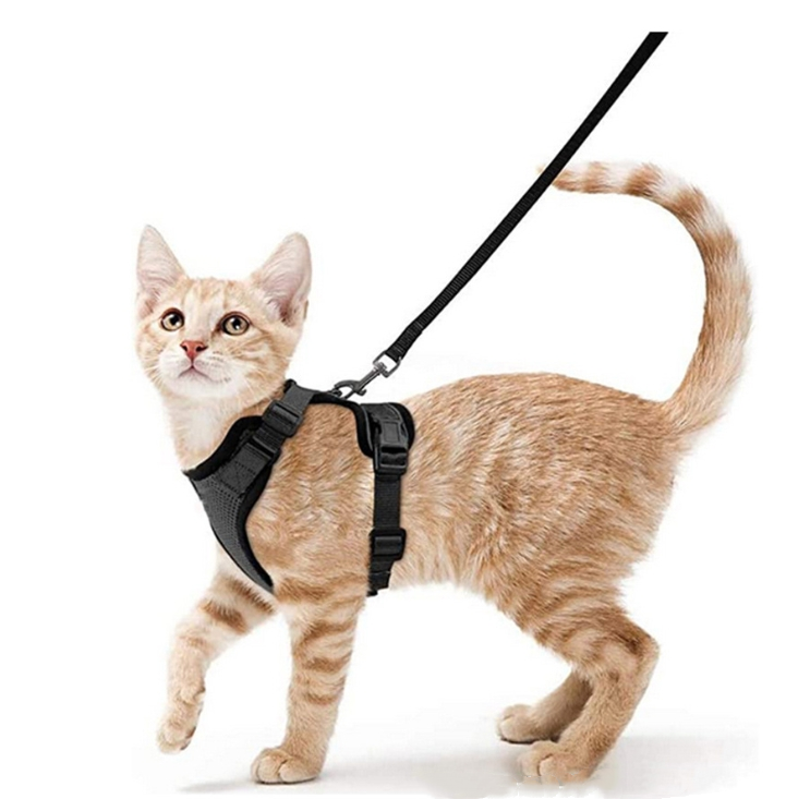 Breathable Reflective Cat Harness with Anti-Escape Leash - Pet Harness for Cats and Small Dogs