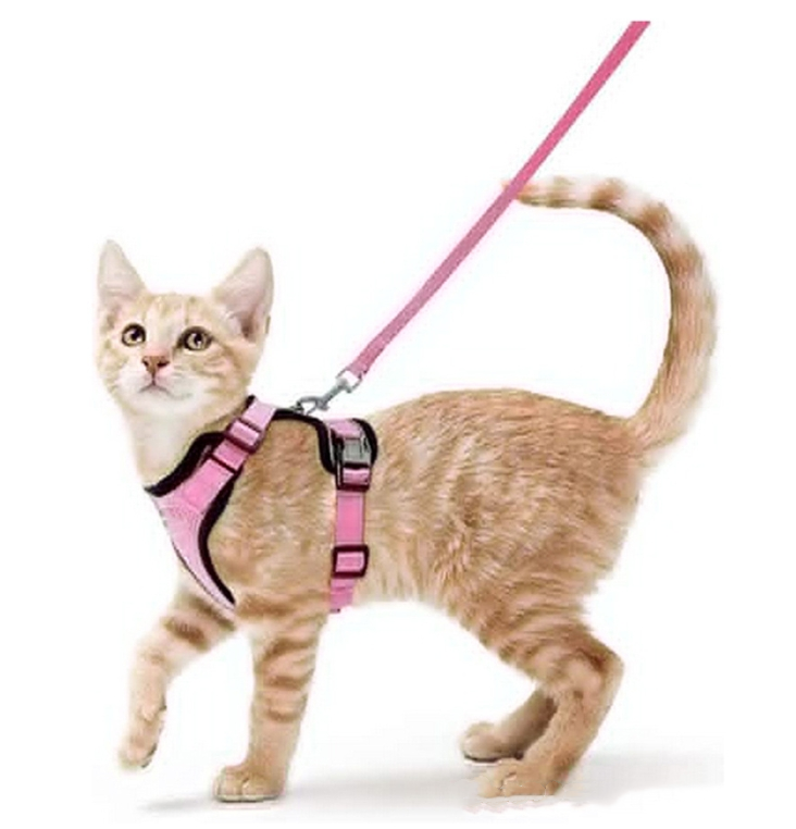 Breathable Reflective Cat Harness with Anti-Escape Leash - Pet Harness for Cats and Small Dogs