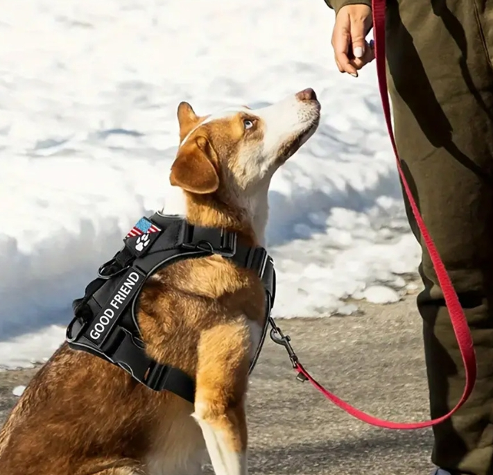 New Reflective Tactical Dog Harness with Shock Absorption & Night Vision - Vest-Style Leash for Pets