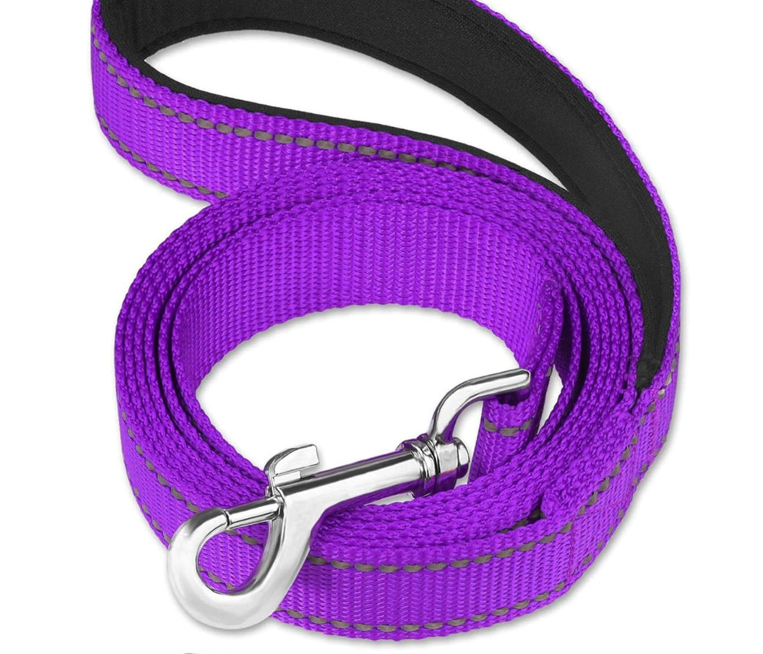 Solid Colour Nylon Dog Leash - Candy Colour Pet Walking Leash, Pet Supplies, Cats & Dogs