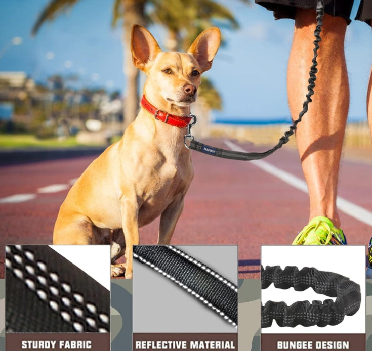 Elastic shock-absorbing leash for medium and large dogs - Durable training leash with anti-pull design, Heavy-duty pet leash for everyday use