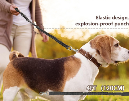 Elastic shock-absorbing leash for medium and large dogs - Durable training leash with anti-pull design, Heavy-duty pet leash for everyday use